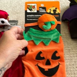 Cute small animal pumpkin costume